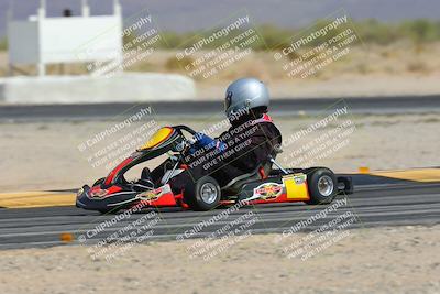 media/Mar-29-2025-Pro Autosports (Sat) [[89b1c017ad]]/6-Purple Group/Qualifying Session/